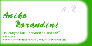 aniko morandini business card